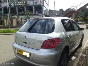 Peugeot 307 2002