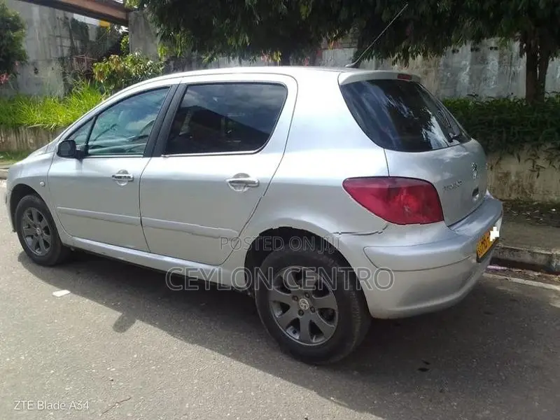Peugeot 307 2002