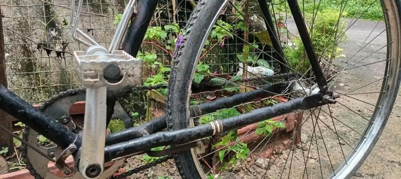 Atlas Modified Bicycle