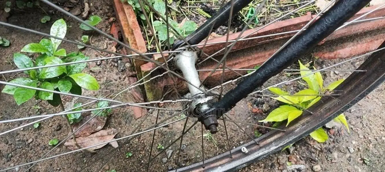 Atlas Modified Bicycle