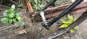 Atlas Modified Bicycle