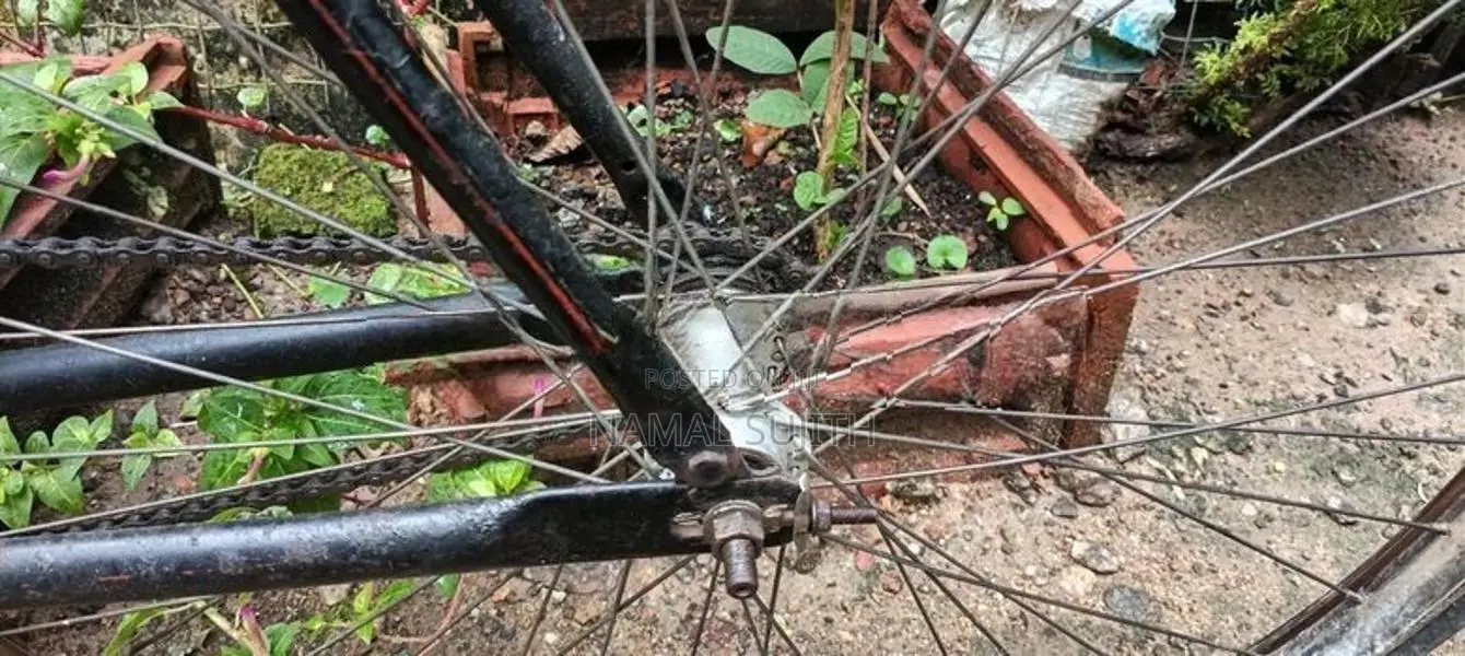 Atlas Modified Bicycle
