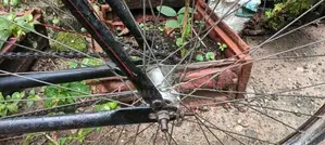 Atlas Modified Bicycle