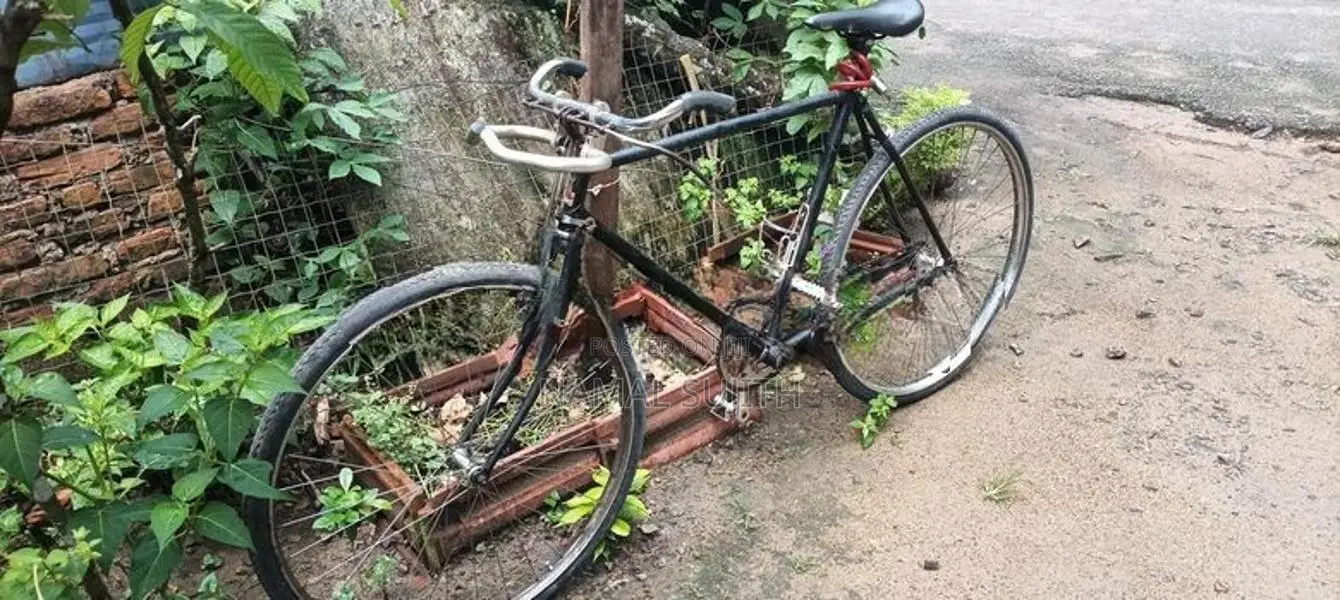 Atlas Modified Bicycle