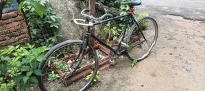 Atlas Modified Bicycle