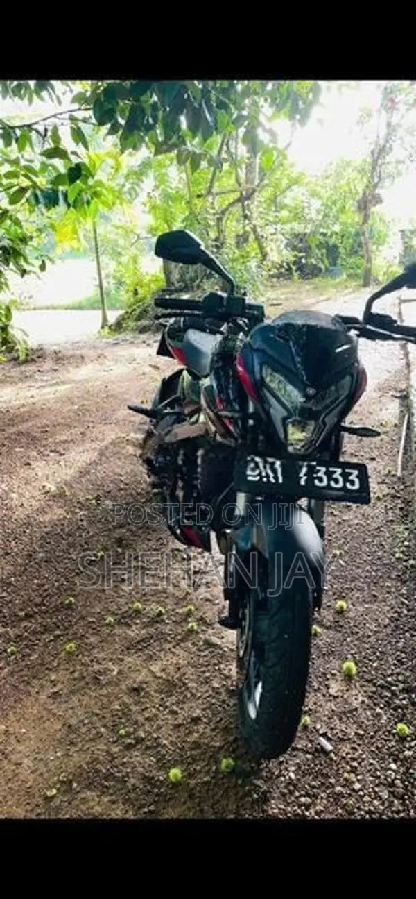 Bajaj Pulsar NS200 BS7 2025