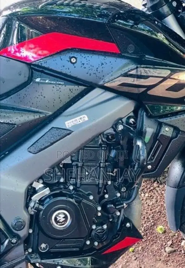 Bajaj Pulsar NS200 BS7 2025