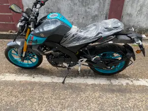 Yamaha MT-15 2026 Gray