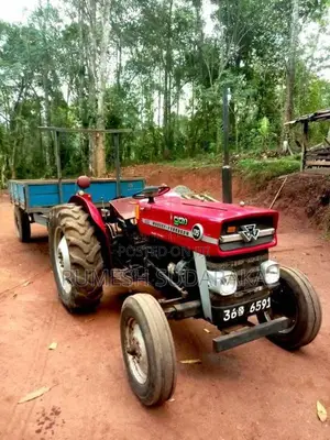 Massey-Ferguson 135 DL 1980 Tractor (Used)