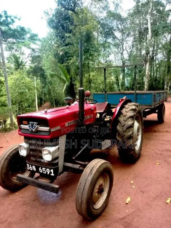 Massey-Ferguson 135 DL 1980 Tractor (Used)