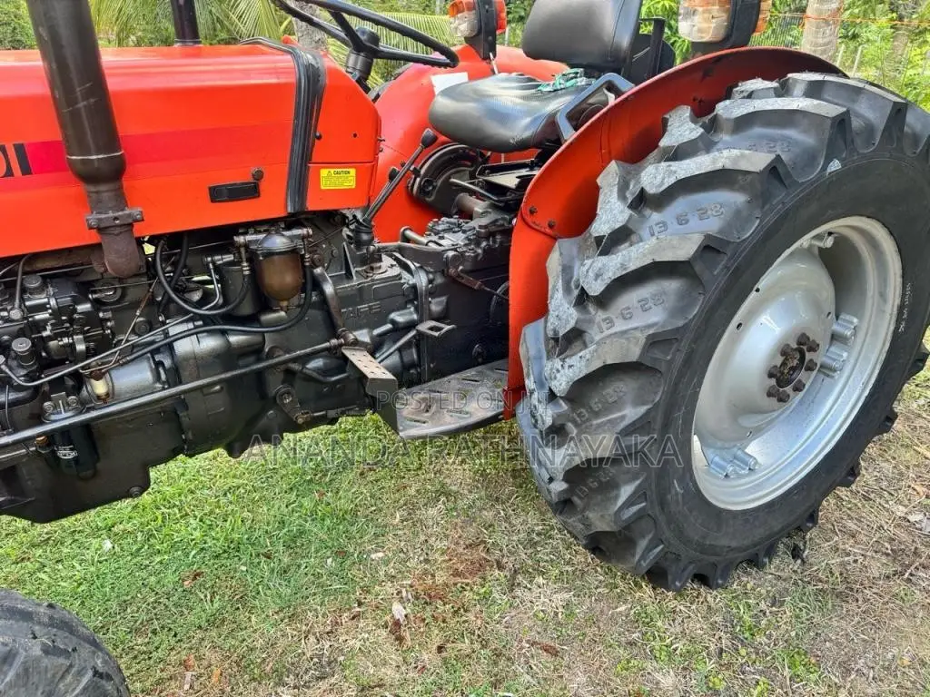 TAFE 45DI 2018 Tractor (Used)