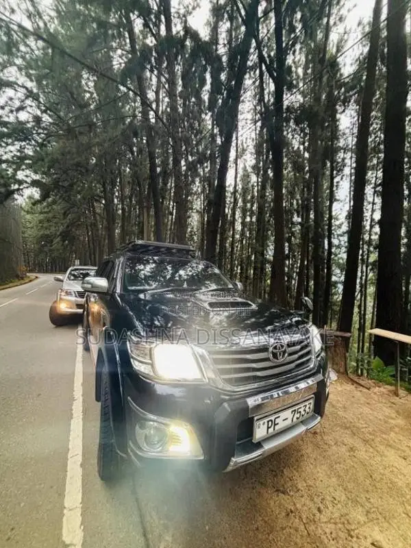 Toyota Hilux Vigo 2014 Pickup (Used)
