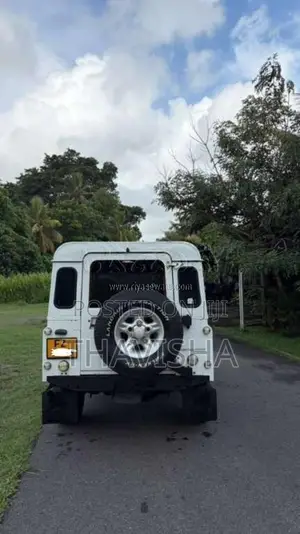 Land-Rover Defender 110 1992 SUV (Used)