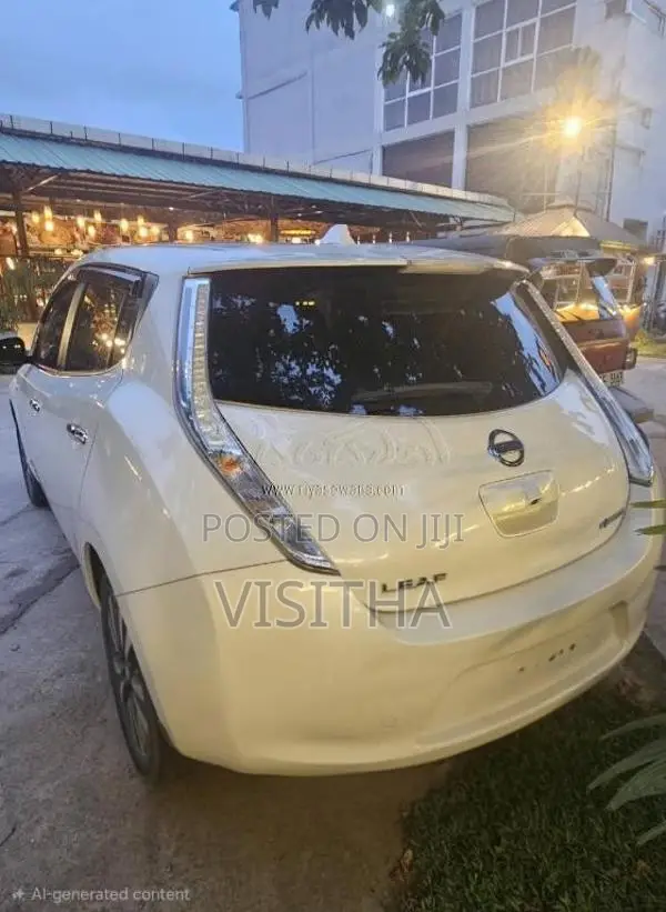 Nissan Leaf Azeo 2018 Car (Used)