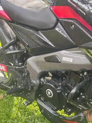 Bajaj Pulsar NS200 2025 Motorbike (Used)
