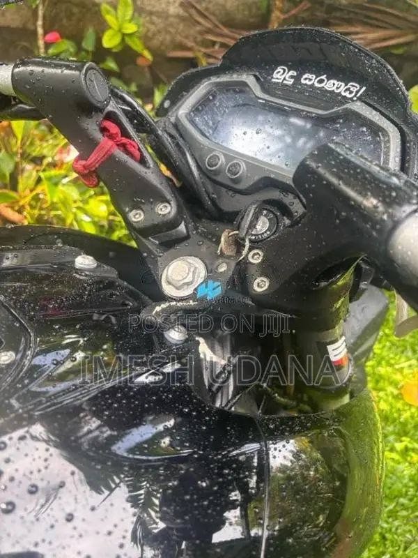 Bajaj Pulsar NS200 2025 Motorbike (Used)