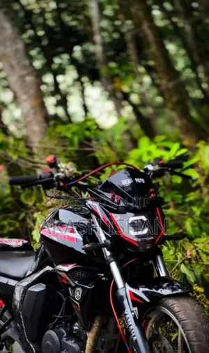 Yamaha Fz Version 2.0 2015 Motorbike (Used)