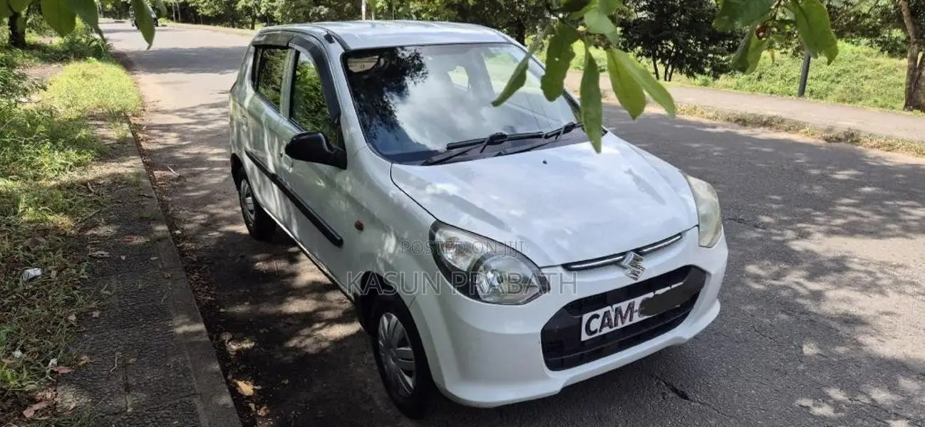 Suzuki Alto 2015 Car (Used)