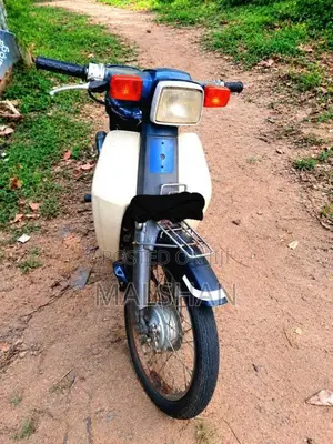 Honda Custom 1994 Motorbike (Used)