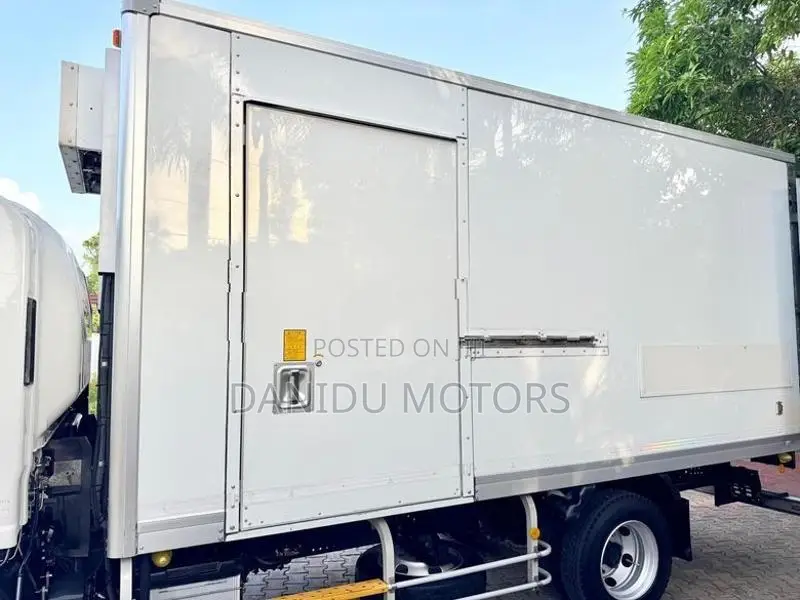 Isuzu Elf Freezer Truck 2017