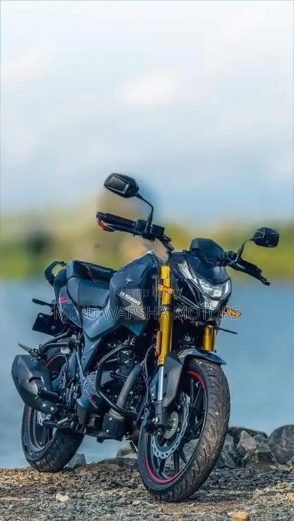 Hero Hunk 160R Brand New 2026
