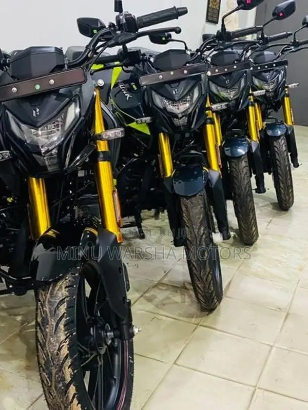 Hero Hunk 160R Brand New 2026