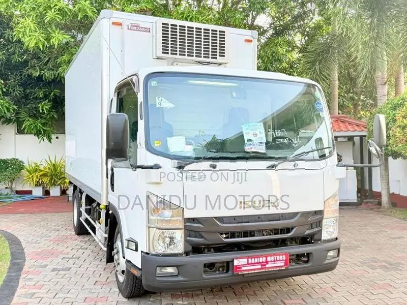 Isuzu Elf Freezer Truck 2019