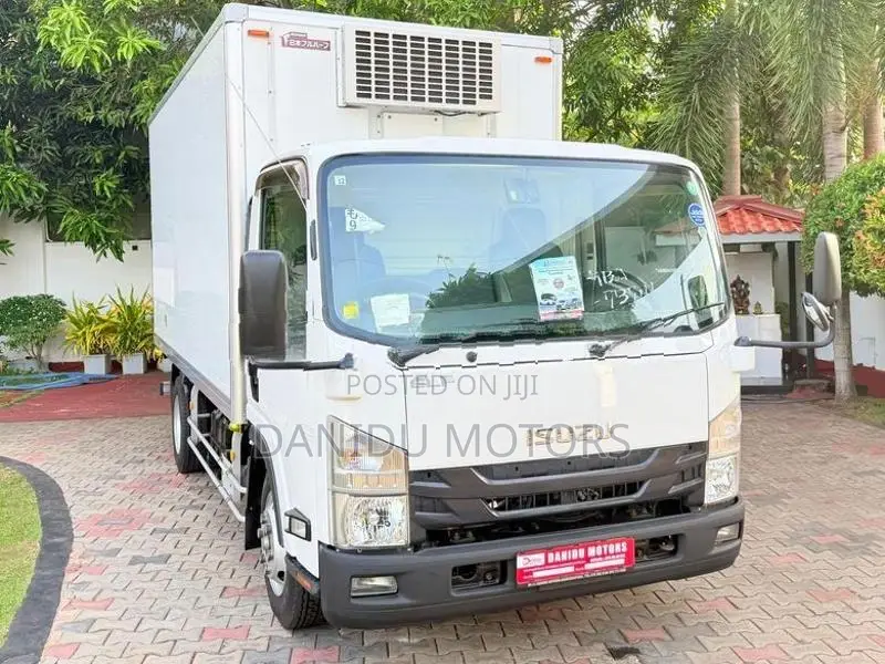 Isuzu Elf Freezer Truck 2019