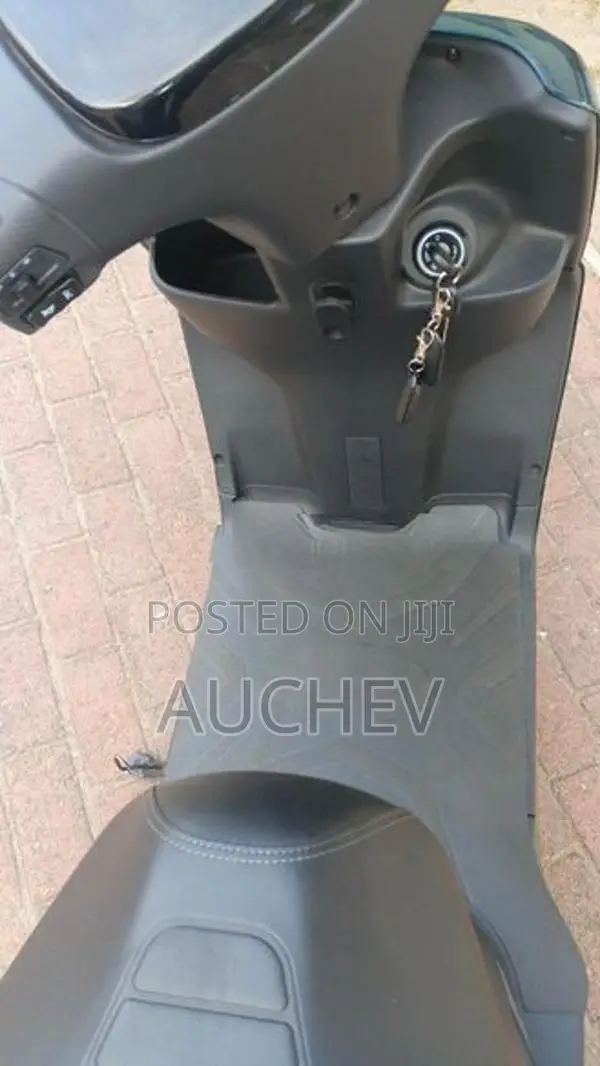 Auchev Pisces 2026