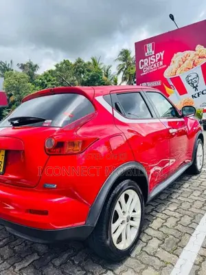 Nissan Juke Limited Edition 2013 SUV (Used)