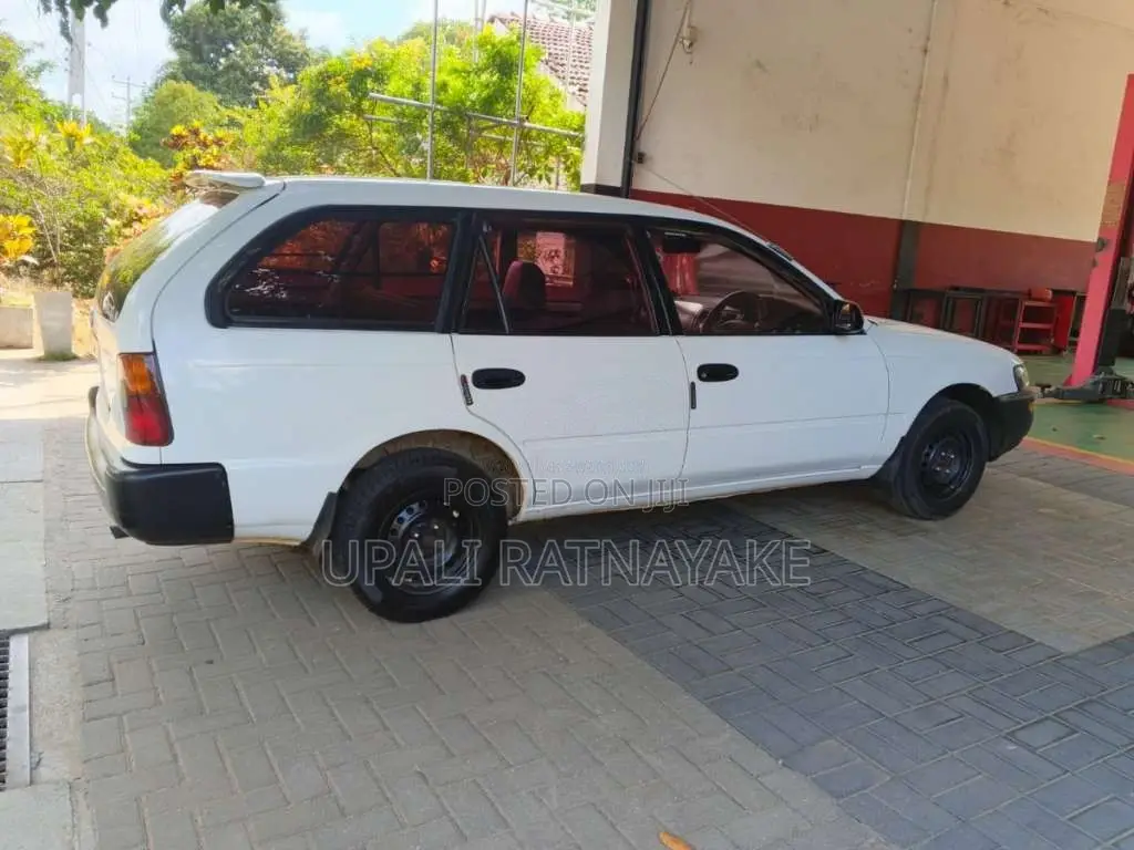 Toyota Corolla Elephant Back 1996 Car (Used)