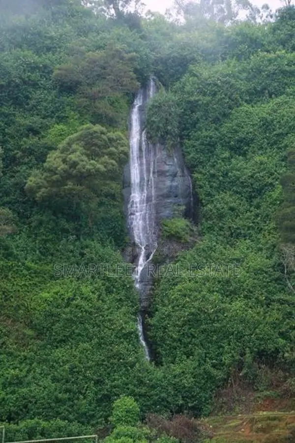 Hotel for Sale in Nuwara Eliya