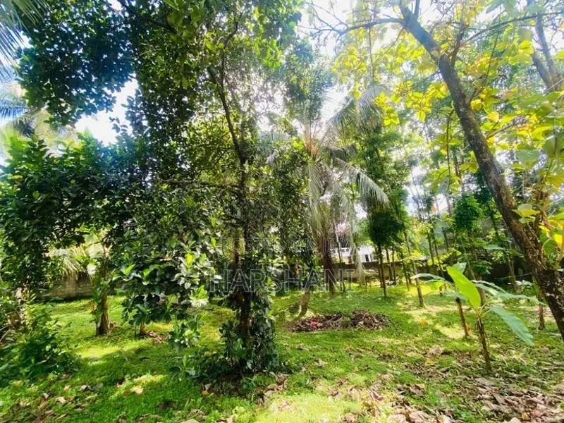 8.5P Superb Land for Sale – Walking Distance to Malabe Town