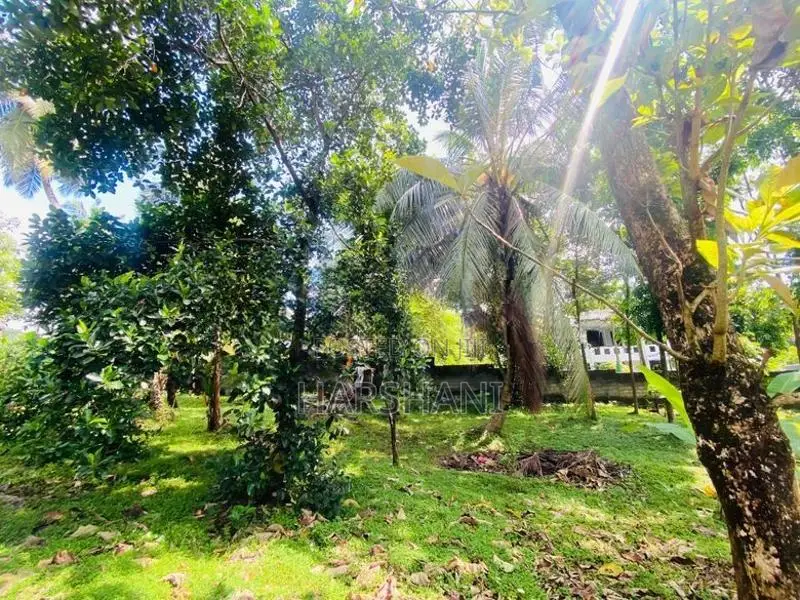 8.5P Superb Land for Sale – Walking Distance to Malabe Town