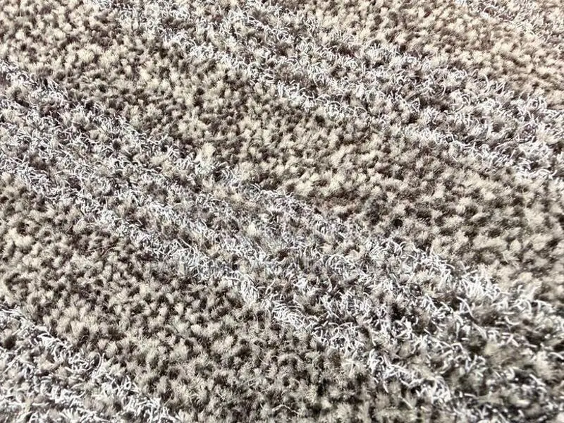 5 Pcs Universal Coil Carpet Set