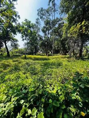 Valuable Land For Sale Athurugiriya
