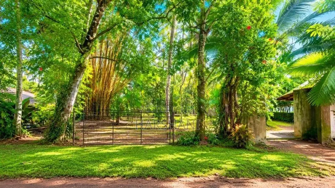 50 P Residential Land for Sale - Just Next to Matugama Town