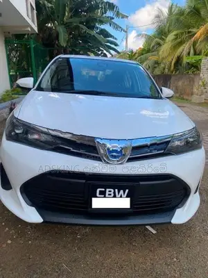 Toyota Axio Hybrid 2023