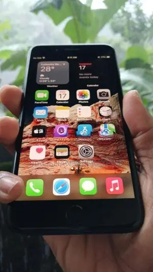 Apple iPhone 7 Plus 256GB (Used)