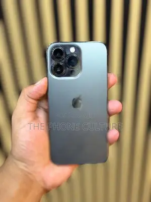 Apple iPhone 13 Pro 256GB (Used)