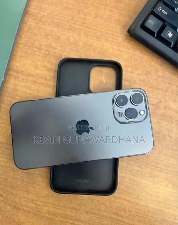 Apple iPhone 13 Pro Max (Used)