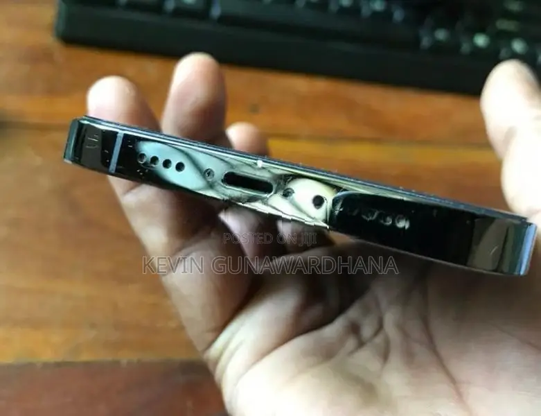 Apple iPhone 13 Pro Max (Used)