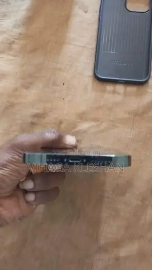 Apple iPhone 13 Pro Max (Used)