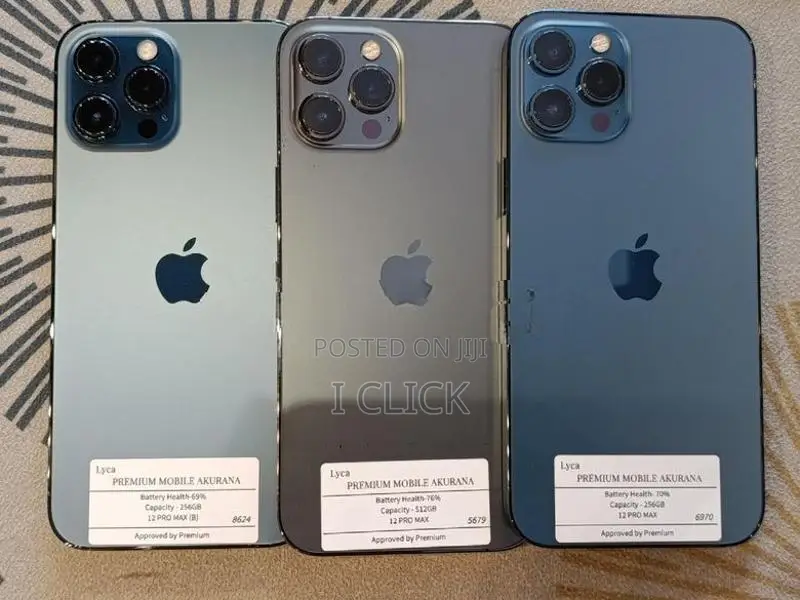 Apple iPhone 12 Pro Max 256GB (Used)