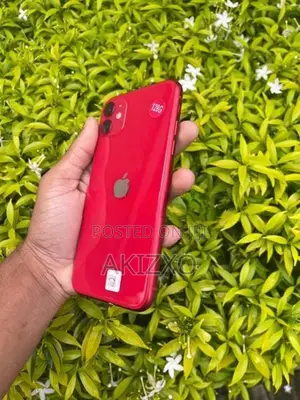 Apple iPhone 11 (Used)