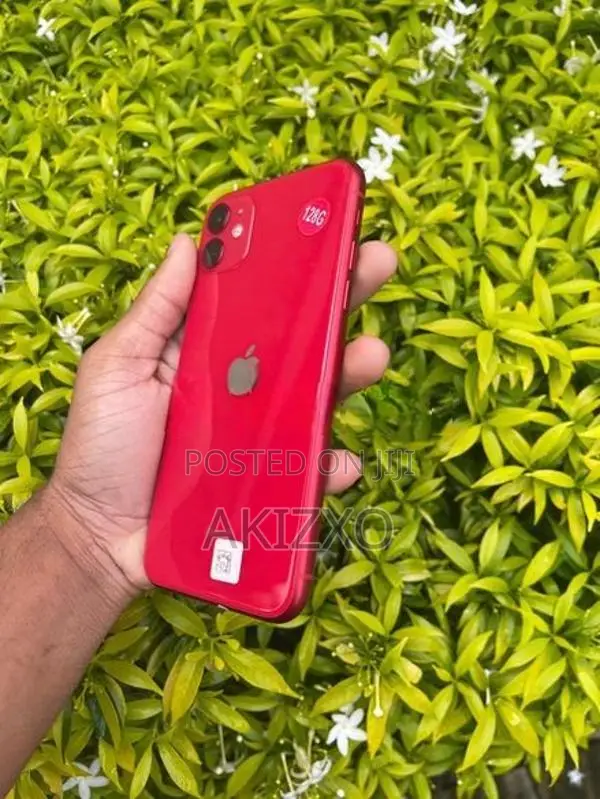 Apple iPhone 11 (Used)