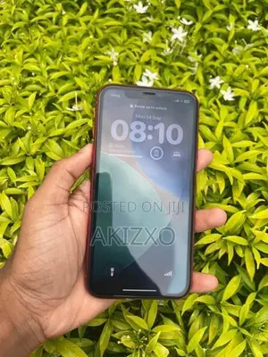Apple iPhone 11 (Used)