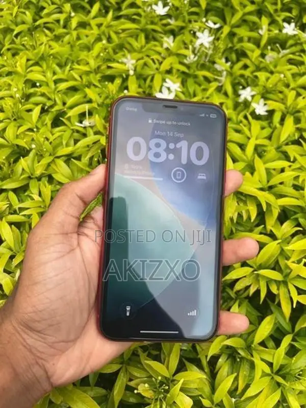 Apple iPhone 11 (Used)