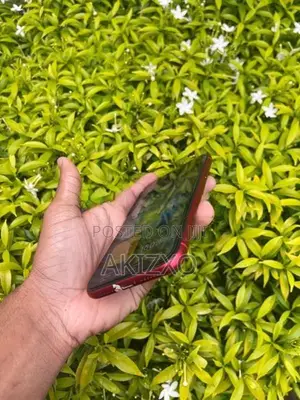 Apple iPhone 11 (Used)