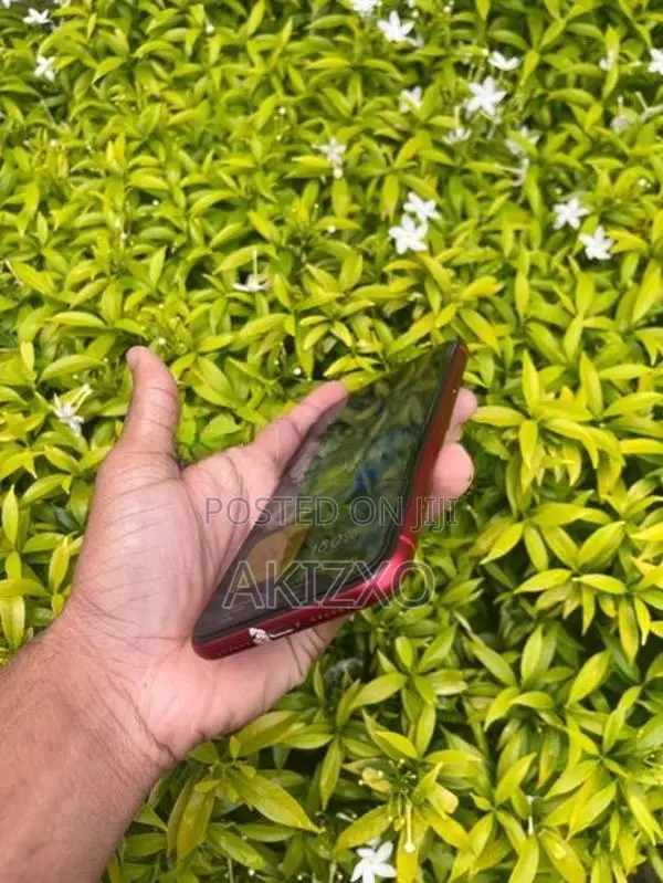 Apple iPhone 11 (Used)